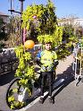vélo carnavalesque 15